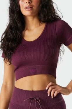 Sommer Ray Seamless Active Ribbed Short Sleeve Tee -Mini Aura Shop 078648028980 84 3